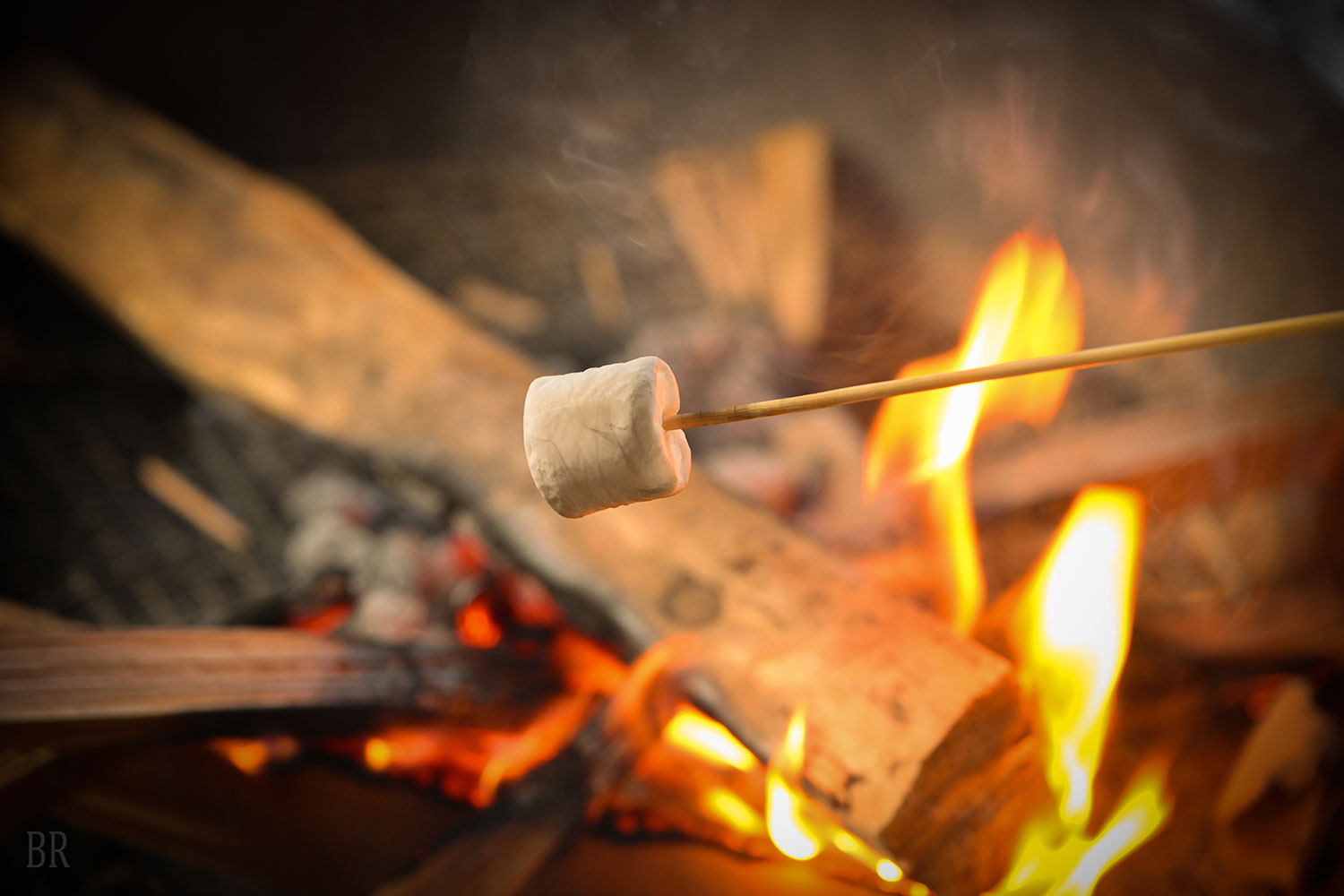Making roasted marshmallows